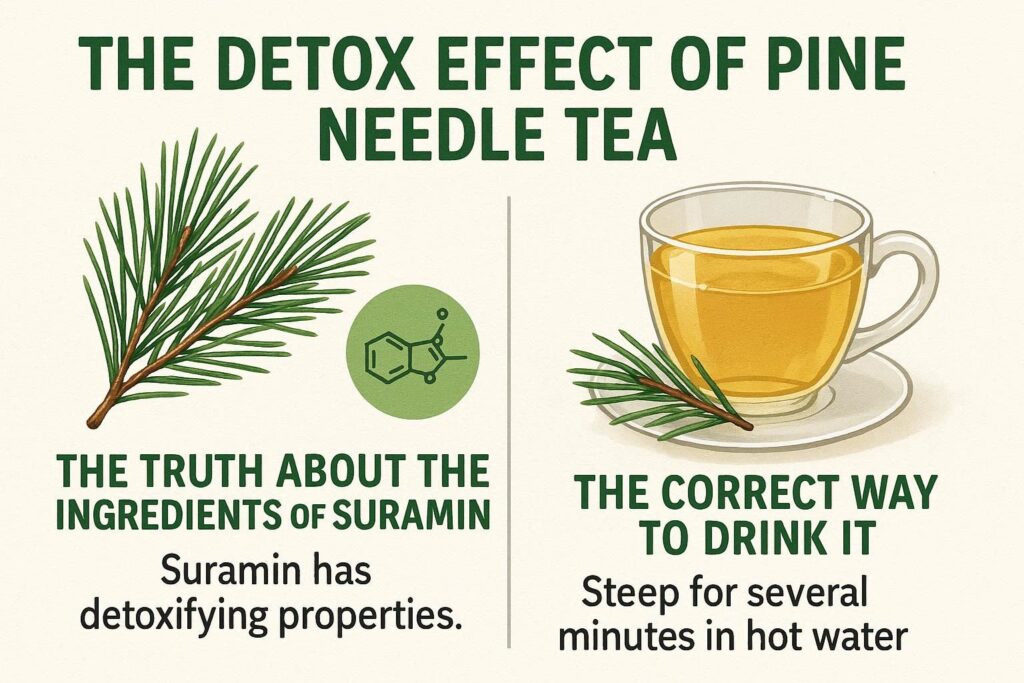 松葉茶 デトックス